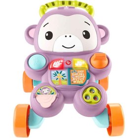 Resim Fisher-Price Benimle Öğren Mor Maymun Yürüteç JGW94 