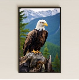 Resim Zirvede Kartal Figürlü Hiperrealist Şeffaf Pleksi Tablo 