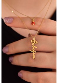 Resim Papatya Silver 925 Ayar Gümüş Altın Kaplama Uğur Böceği ve Bebeğim Yazılı Asansörlü Kolye 