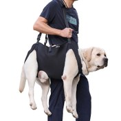 Resim Köpekler için Pet Destek Askısı, Bacak Yardımı ve Rehabilitasyon için Acil Durum Sırt Çantası, Tırnak Bakımı için Kaldırma Kemer, Eklem Sorunları, Artrit ve Merdivenleri Navigasyon için Yaşlı Köpekler için Taşıyıcı. 
