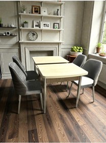Resim Msy Home 4 Kişilik Göz Serisi Krom Kelebek Traverten Kelebek Yemek Masası Takımı Gri 