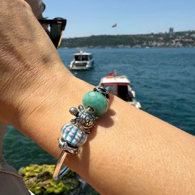 Resim Afrika Kaplumbağası 