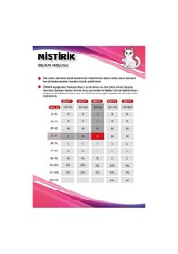 Resim Mistirik Mabet Model Yüksek Bel Alt Karın Ve Göbek Sıkılaştıran Toparlayan Korseli Külot Kahve Renk Kahve 