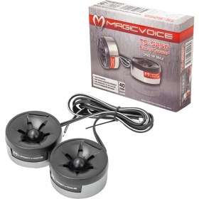Resim TS-250 Oto Tiz Tweeter 2 Adet 250W 