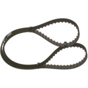 Resim Trıger Kayısı Audı 