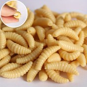 Resim 300/400/500 adet Yumurta Yumuşak Yem Ekmek Salyangozu Sahte Yem Deniz Balıkçılığı Zigfish Yem 