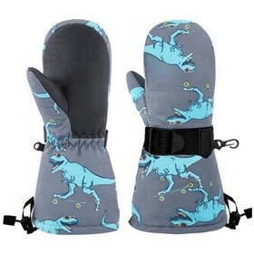 Resim Su Geçirmez Erkek Çocuk Bere Eldiven Set 2-4 Yaş Kayak Snowboard Bere Eldiven Gri Mavi Dino 