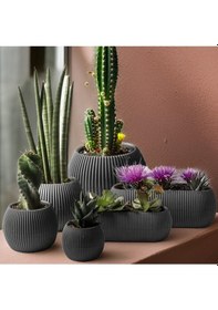 Resim Omnipazar Krs Mercan Dekoratif Sukulent Kaktüs Plastik Saksı Takımı 6'lı Set Antrasit 