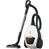 Resim Electrolux PD82-ALRGT 57 dB Toz Torbalı Elektrikli Süpürge 