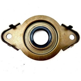 Resim Prizdirek Keçesi - Fiat Egea 