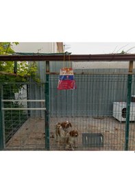 Resim 6 ADET FLY JAIL XL - POŞET KARASİNEK TUZAĞI 