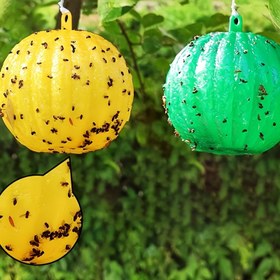 Resim 2 adet Siyah Böcekler ile Çift Taraflı Sarı Yapışkan Tuzak - Böcek Kontrolü, Pil Gerektirmez, Bahçe ve Bahçe için Meyve Sineği ve Aphid Çekici, Bahçe Böcek Kontrolü | Çift Taraflı Tuzaklar | Kolay Asma Tasarımı, Bahçe için Böcek Tuzakları 