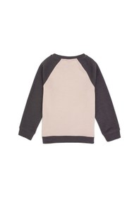 Resim U.s. Polo Assn. Erkek Çocuk Gri Sweatshirt 50316542-vr024 Grı 