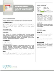 Resim Selenoid Bright 20 Litre Havuz Suyu Topaklayıcı, Sürekli Temizleyici, Parlatıcı - 20 Litre 
