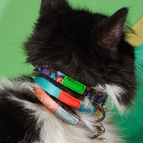 Resim Kedi Boyun Tasması / Mavi 