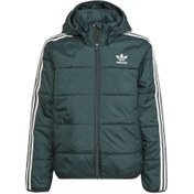 Resim adidas Padded Jacket Çocuk Günlük Mont Hk0386 Yeşil 