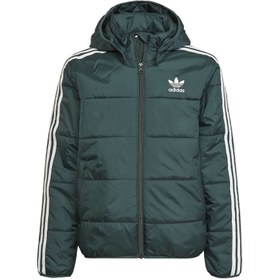 Resim adidas Padded Jacket Çocuk Günlük Mont Hk0386 Yeşil 