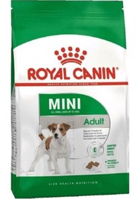 Resim Royal Canin Mini Adult Yetişkin Küçük Irk Köpek Maması 2 Kg 