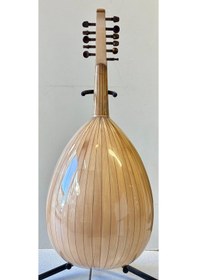 Resim Profesyonel Kelebek Ud 