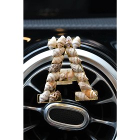 Resim Tasarım Arabam Deniz Salyangozu Harfli Klima Süsü 