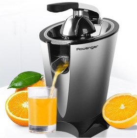 Resim Rowenger D-8036F 600 W Elektrikli Meyve Sıkacağı 
