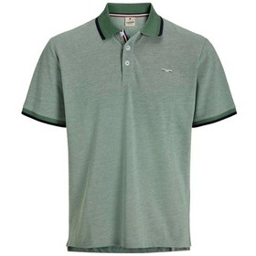 Resim Jack & Jones Jprblualves Ss Polo Sn Dark Ivy Dark Ivy Çok Renkli 