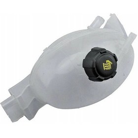 Resim Genlesme Kavanozu Master Iıı Movano Iı Maıs 217100015r 