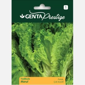 Resim Menashop Metrashop Prestige Yedikule Marul Tohumu Sebze Tohumu 