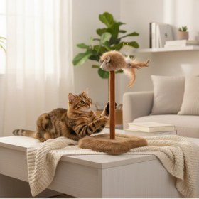 Resim Lady Fify Kedi ve Köpek için Ses Çıkaran Oyuncaklı ve Dayanıklı Kedi Tırmalama Tahtası 