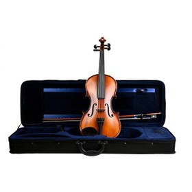 Resim Lichtenberg VF600 Masif Keman 