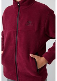 Resim Tommylife Tommy Life Erguvan Kalın Yumuşak Dokulu Standart Fit Nakışlı Polar Erkek Çocuk Sweatshirt - 11223 Mor 