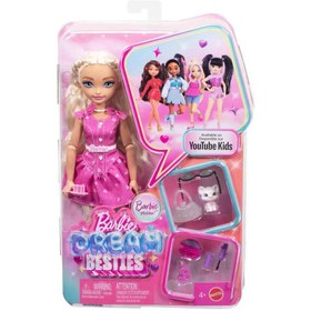 Resim Barbie Dream Besties Malibu Bebek ve Aksesuarlar JKP50 