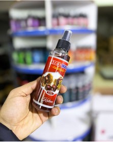 Resim Oto Parfüm, Sprey Araç Kokusu 100 Ml Kestane 