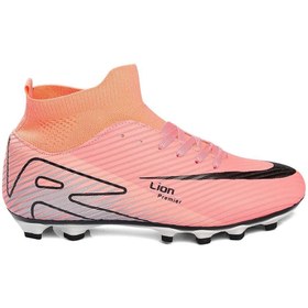 Resim Lion 507 Premier Çoraplı Krampon 