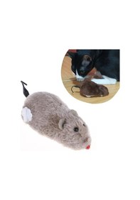 Resim Kurmalı Kedi Eğitim Oyuncağı Tüylü Peluş Fare Yakalama İnteraktif Sevimli Eğlenceli Oyuncak 5570 