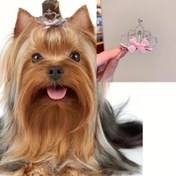 Resim Kalp Desenli Evcil Hayvan Bakımı Saç Aksesuarları - Köpek Saç Klipsi Taçları, Çok Renkli Yavru Kedi Başlıkları Saç Tokaları 