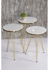 Resim Zigon Sehpa Ve Orta Sehpa Elips Set Çift Gold Beyaz Tel Diğer 