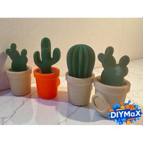 Resim 5 Li Kaktüs Magnet Seti Mini Saksılı Kaktüs Buzdolabı Süsü 
