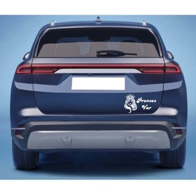 Resim shop TUĞRA arabada prenses var yazısı sticker 