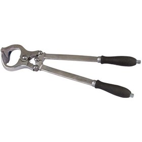 Resim Dana Burma Pensi 48 Cm 