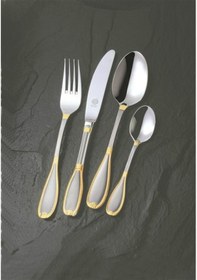 Resim Diana Mat Altın Solingen 96 Parça Kutulu Çatal Kaşık Bıçak Seti Altın 