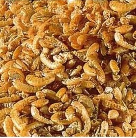Resim Sera Raffy I 100 Ml/12 Gr Kaplumbağa Yemi 