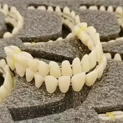 Resim Üst ve Alt Diş Protezi Model Seti (Tek Üst ve Tek Alt) - Güvenli Reçine, Yetişkinler İçin Dayanıklı ve Esnek - Kullanım İçin İdeal 