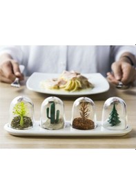 Resim 4 Mevsim Baharatlık Masanızda 4 Mevsimi Yaşayın Amber 