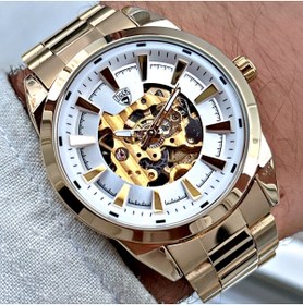Resim Tiger ERKEK KOL SAATİ TI-611EO 