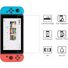 Resim Nintendo Switch Cam Ekran Koruyucu Film 
