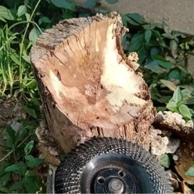 Resim Ahşap Eğe Diski Nemere 
