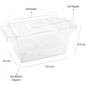 Resim Atlantik Tekli Kristal Balık Yavruluk 13 5 Cm x 8 5 Cm 