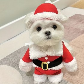 Resim 1 adet Şenlik Akrilik Köpek Noel Kostümü, Orta Boy Irklar için Kazak Noel Baba Takımı, Teddy & Bichon Frise için Kış Tatili Evcil Hayvan Kıyafeti, Küçük Köpek Giysileri 
