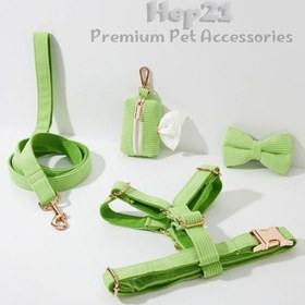 Resim Dog Collar Named Light Green Collar 446519 - 4pcs set / S 